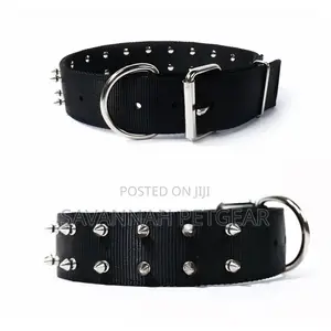 T-Rex Protective Spiked Dog Collar