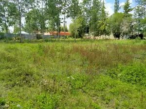 Premier One-Acre Land in Ngong, Merisho Rd with Tarmac Access