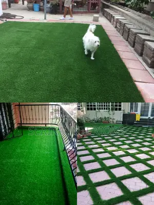 Pet Friendly Grass Carpets Grass Carpets Grass Carpets