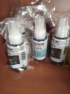 673 Epson Ink's