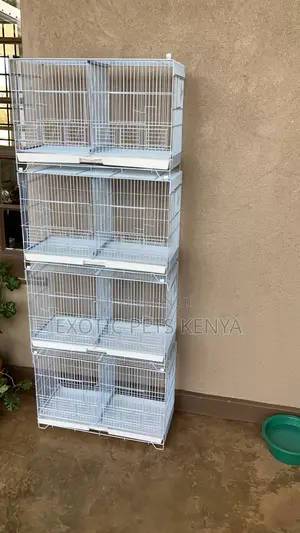 Budgies/Canary Breeding Cages