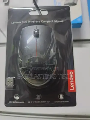 Lenovo 300 Wireless Compact Mouse