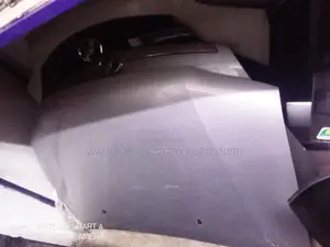 Bonnet for Probox Old Model