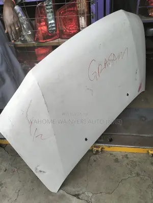 Bonnet for Probox Old Model