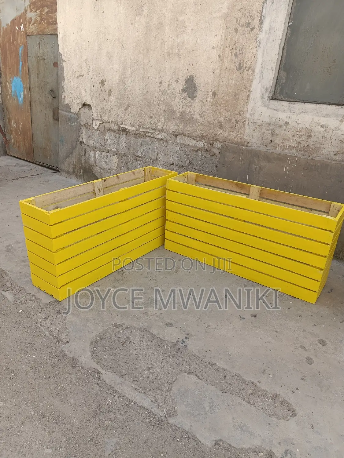 Flower Boxes, Yellow.