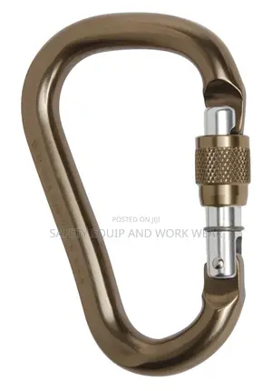 Mountain Safety Master Carabiner