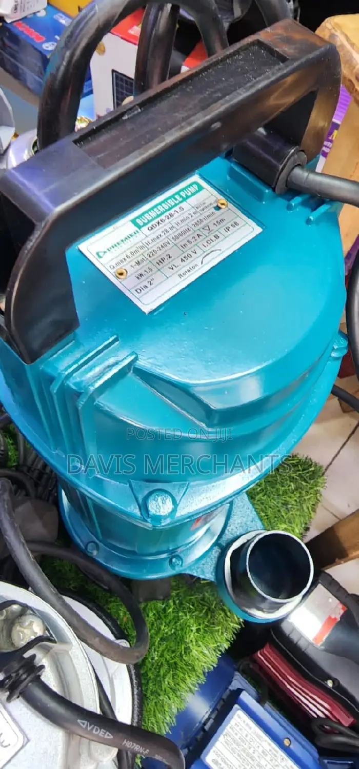 Sewage Pump