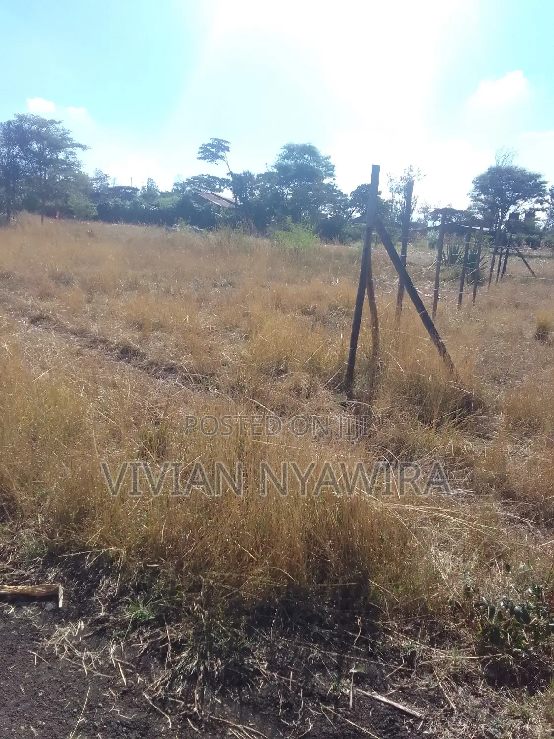 Plot for Sale