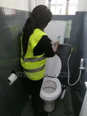 Toilet Leakages and Repairs
