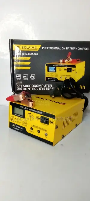 Best Selling 12v 24v Pulse Repair Car Battery Charger