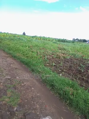 1 Acre Mwiciringiri, Naivasha