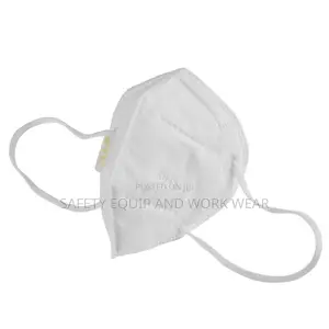 Standard Kn 95 Mouth Cover