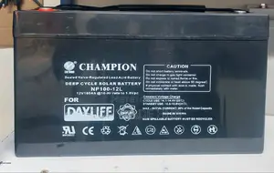Champion Deep Cycle Solar Battery 12V100AH
