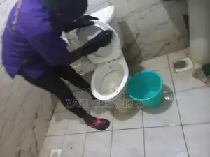 Customised Toilet,Sink and Tiles Cleaning in South B