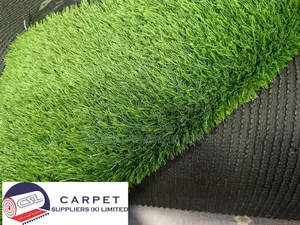 1grass Carpet