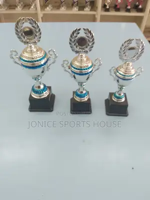 Silver Award Trophies