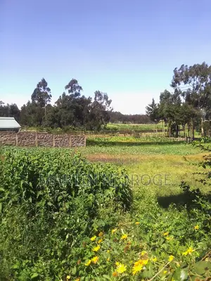 1⁄2 Acre Mwiciringiri