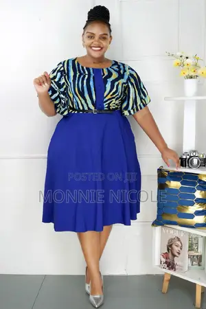 Classy Women Dresses/Skater Plus Size Dress