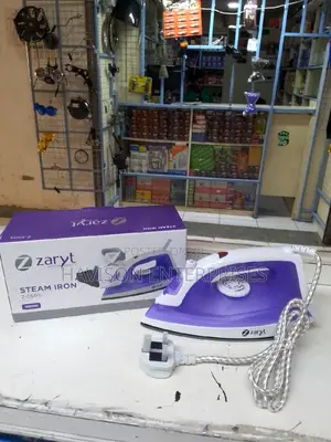 Best Steam Iron Box