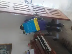 Sofa Upholstery Fumigation Services in Zimmerman