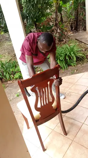 Chairs and Sofa Cleaning