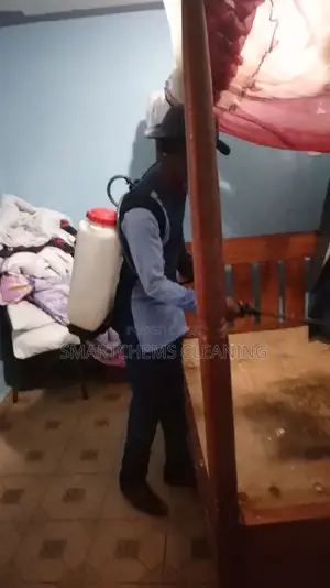 Bedbugs Elimination Thika Road
