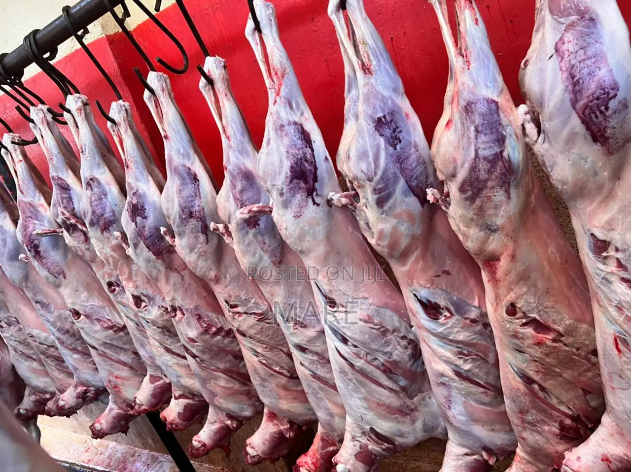 Marez Meat