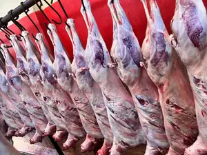 Marez Meat