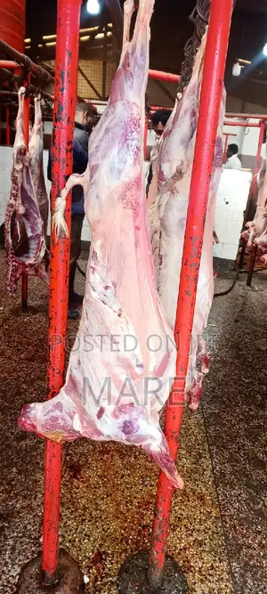 Marez Meat