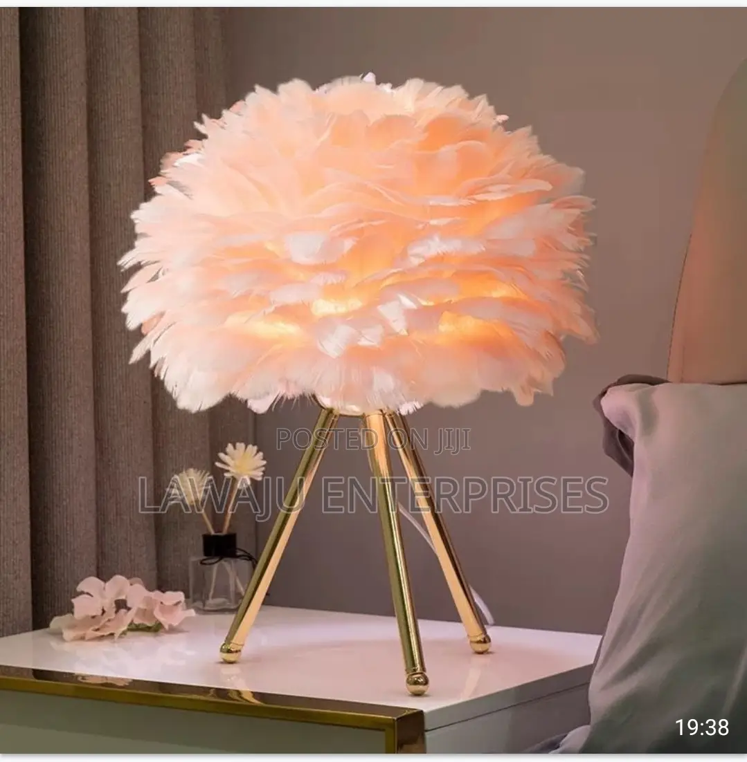 Modern Pink LED Feather Light