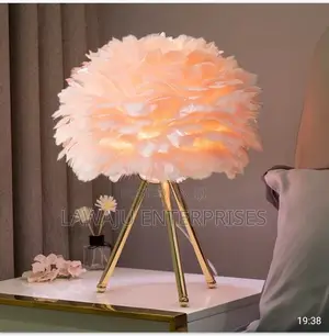 Modern Pink LED Feather Light