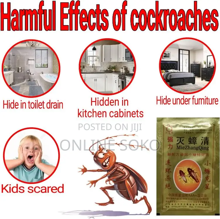 Effective Cockroach Killing Powder - (50 PCS/Full Box)