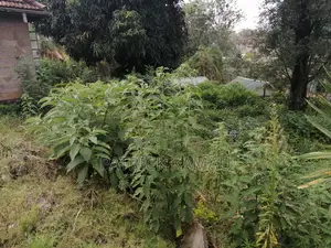Plots on Sale in Kangemi Along Waiyaki Way