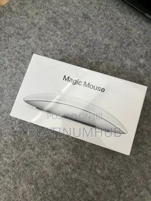 Magic Mouse Fr5