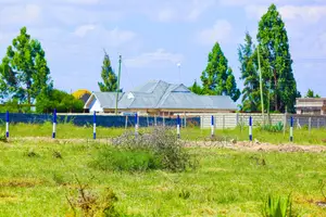 Katani Plots at 1.6M ^JO