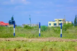 Katani Plots Under 2M ^JO