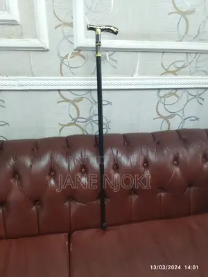 Walking Stick