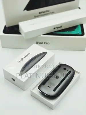 Magic Mouse Wq1
