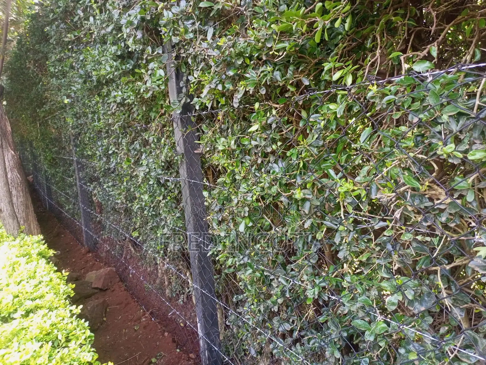 Chain-Link and Barbed Wire Plastic Poles Fencing