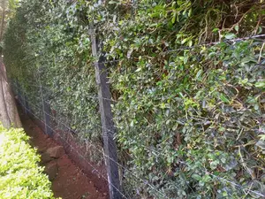 Chain-Link and Barbed Wire Plastic Poles Fencing