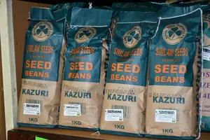 Kazuri Beans Seeds 1kg