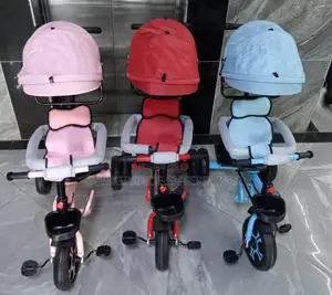 Tricycle With Canopy
Pushable Handle
Protective Side Bars