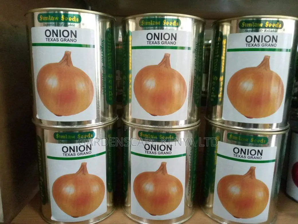 Onion Seeds Varieties From 25g