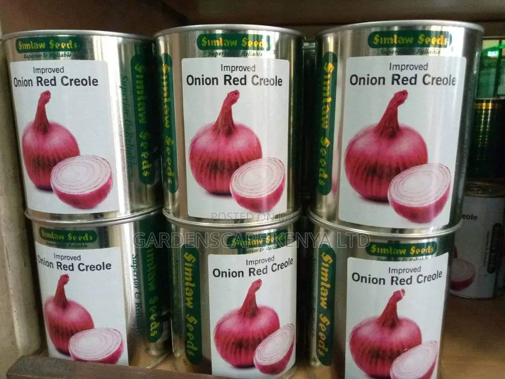 Onion Seeds Varieties From 25g