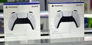 Playstation 5 Controller PS5! PS5! Ps5 Dualsense Controller!