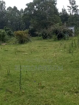 1/4 Acre Pieces Land at Kahara Shops Suitable for Farming