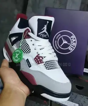 Air Jordan 4 Paris