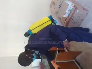 Quick Dry Sofa Vacuuming Daily