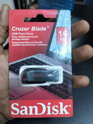 16GB Flash Disk