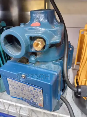 Pedrollo Water Pump